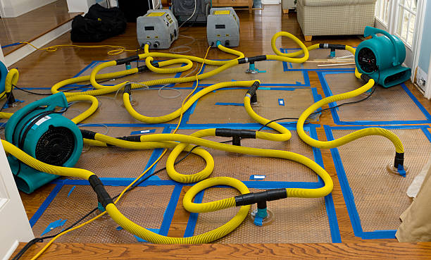 Professional Sewage Cleanup technician working in West Concord, MN